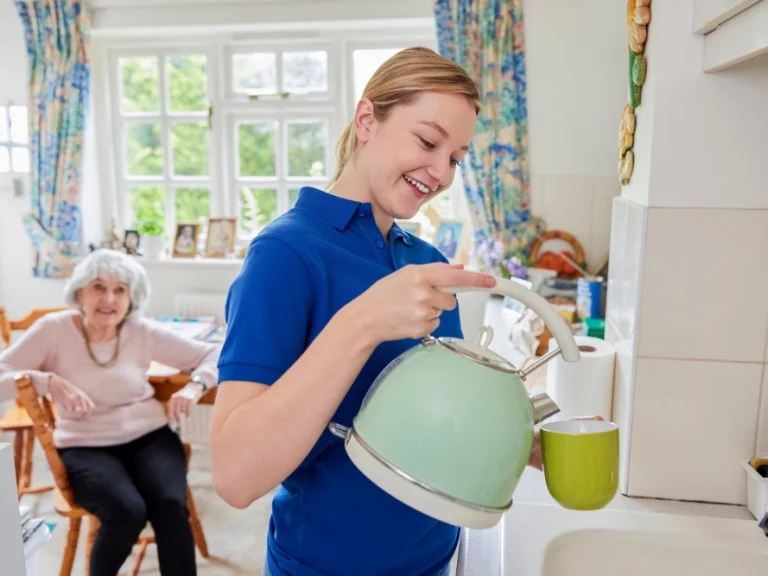 What Companion Caregivers Can Do for You