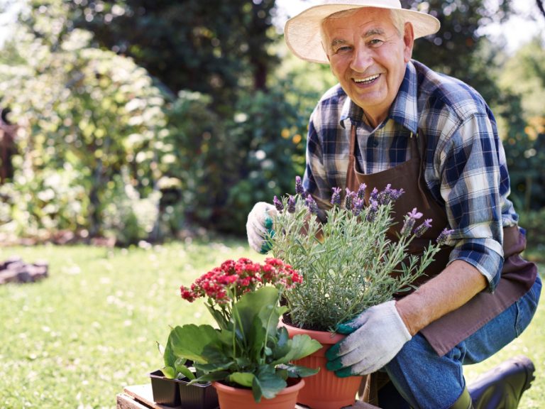 Old man doing gardening