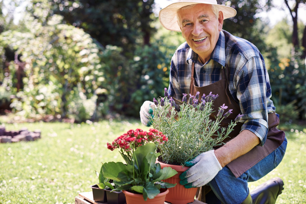 Balancing Joy and Safety eqc Old man doing gardening